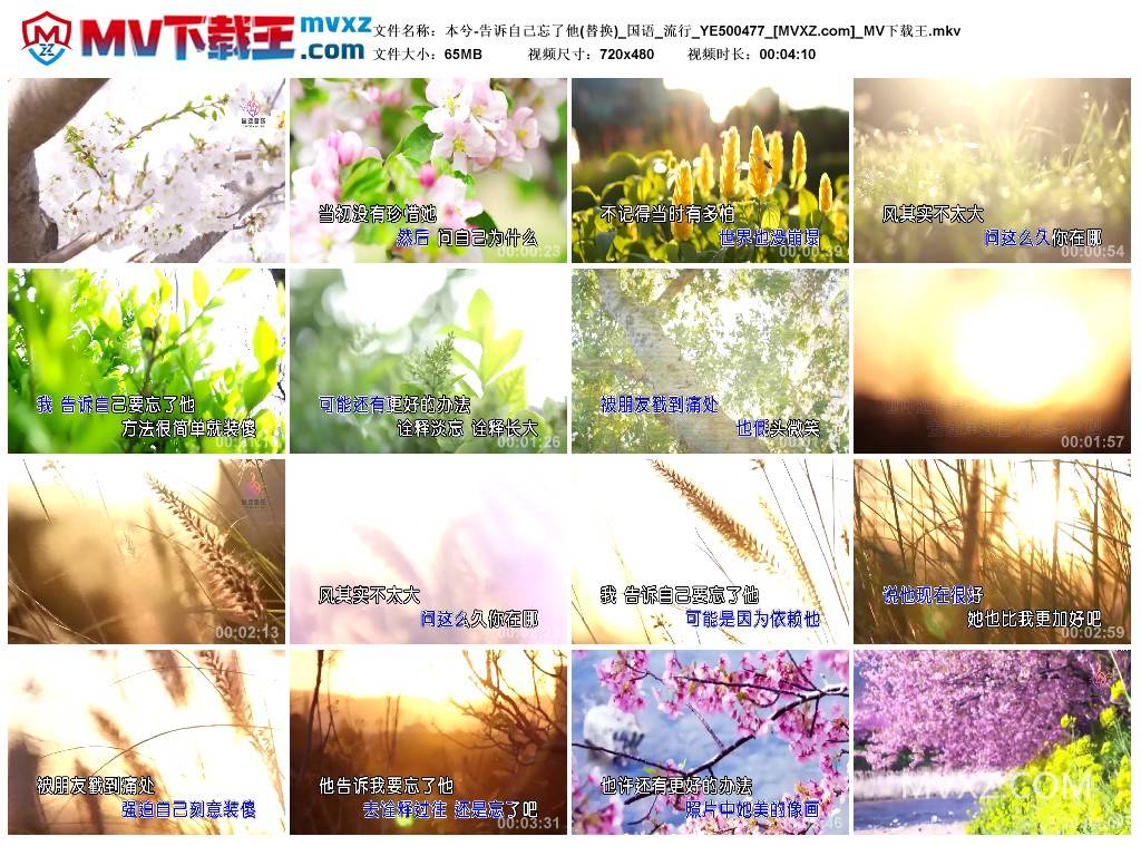 本兮-告诉自己忘了他(替换)_国语_流行_YE500477